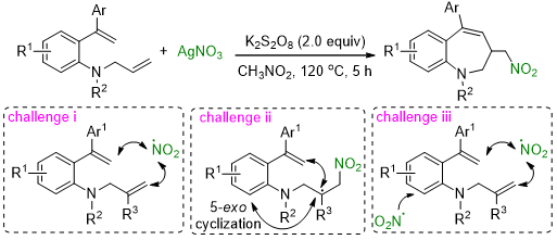 我校有机方法学团队在杂环构建方面研究取得新进展